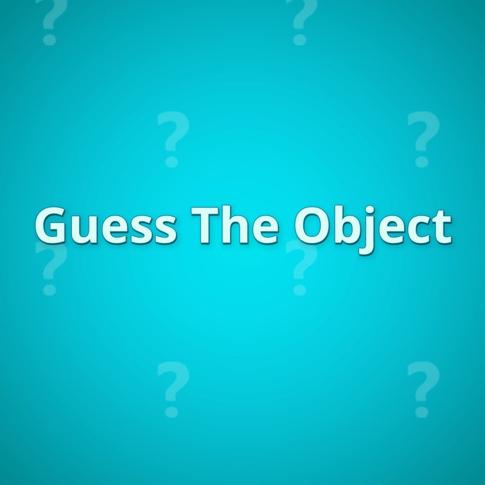 Guess The Object