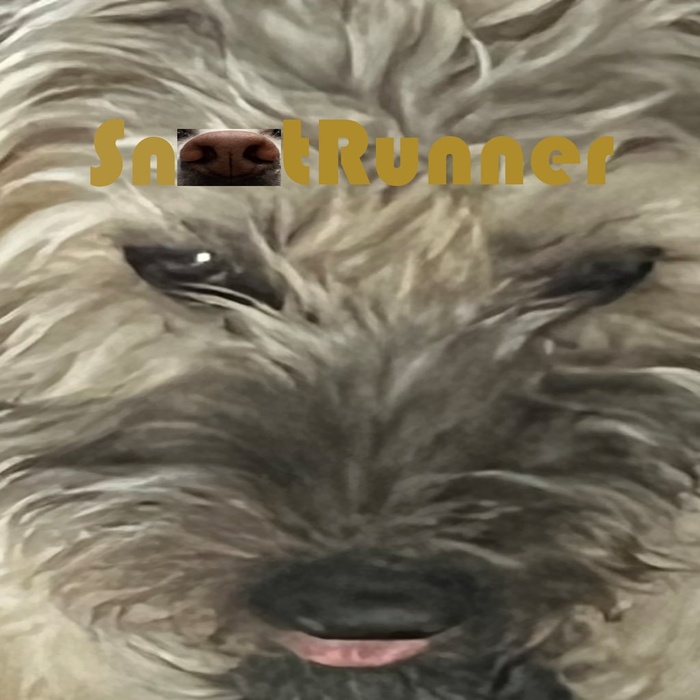 Snoot Runner Bundle