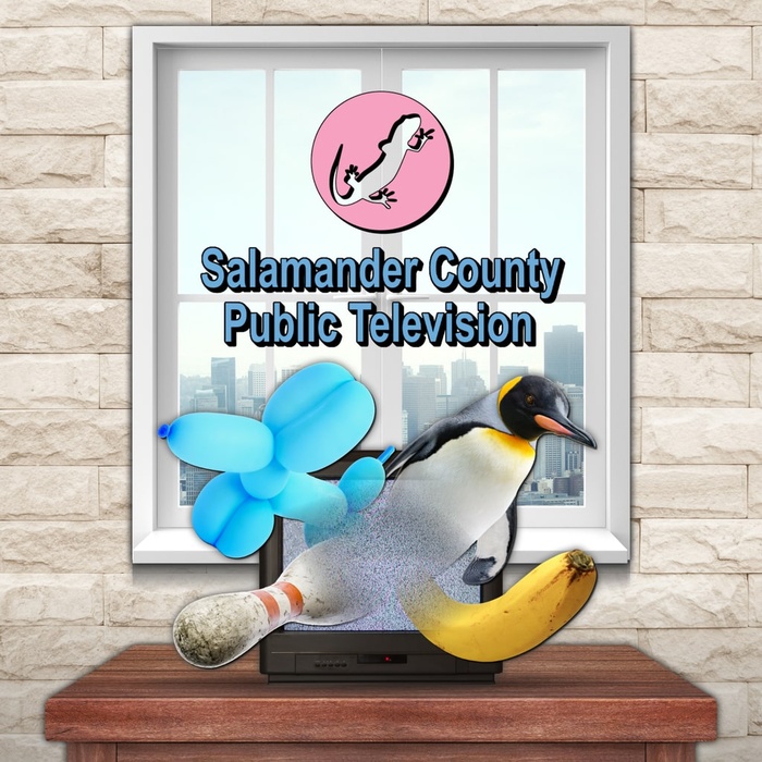Salamander County Public Television ® & ®