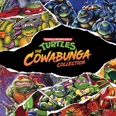 Teenage Mutant Ninja Turtles Collection