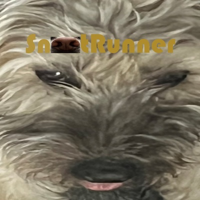 Snoot Runner Bundle