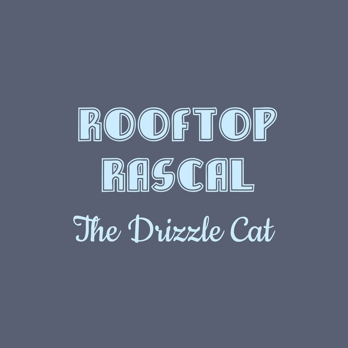 Rooftop Rascal: The Drizzle Cat