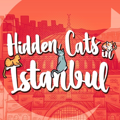 Hidden Cats in Istanbul