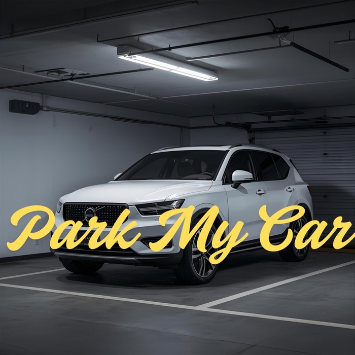 Park my car