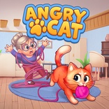 Angry Cat